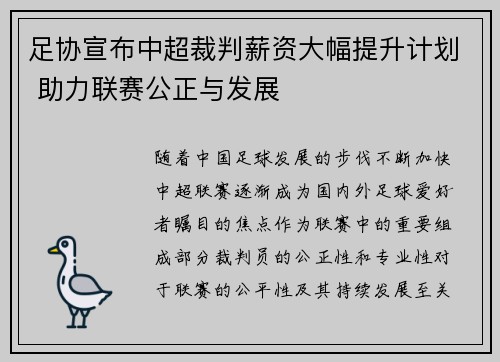 足协宣布中超裁判薪资大幅提升计划 助力联赛公正与发展